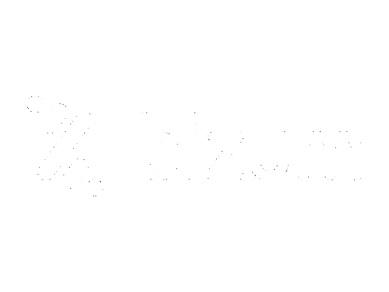 bizum